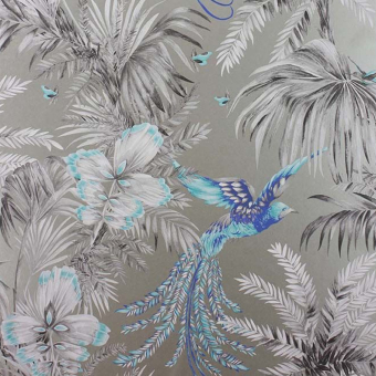 Bird of Paradise Wallpaper