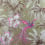 Bird of Paradise Wallpaper Matthew Williamson Brown/Fuchsia W6655/02