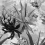 Papier peint panoramique Desert Flowers Wall&decò Zinc DSDF2102