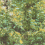 Papier peint panoramique Forest Camo Wall&decò Mousse DSFC2101