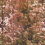 Papier peint panoramique Forest Camo Wall&decò Cuivre DSFC2102