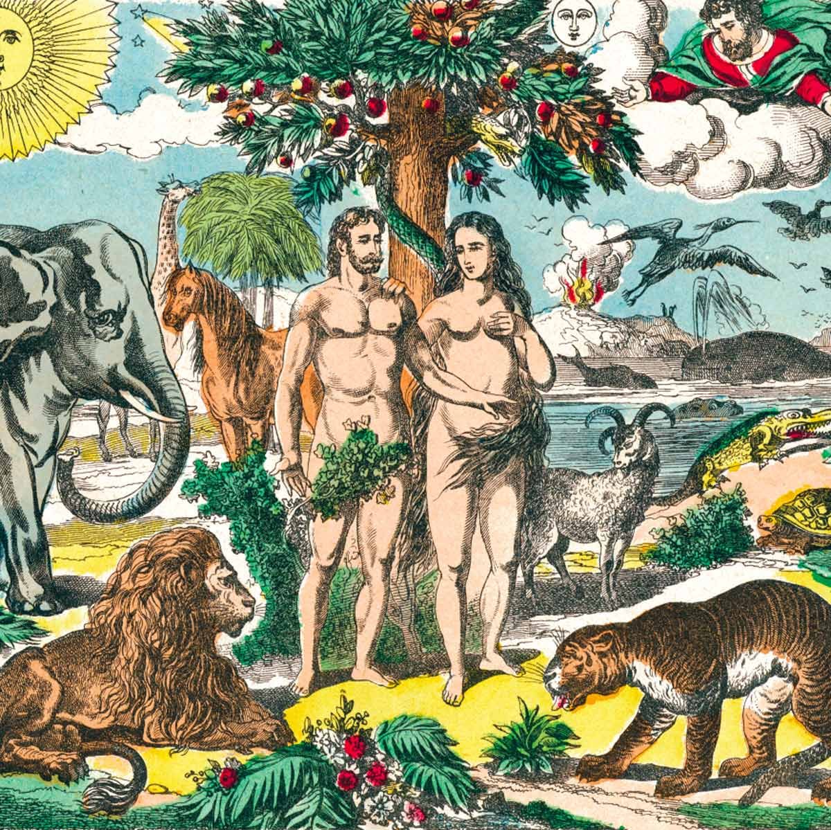 East Of Eden 非売品フォト34枚セット Jardin d'Eden Panel - Maison Images d'Epinal