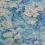 Carta da parati Water Lily Matthew Williamson Azure blue W7148-01