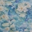 Papier peint Water Lily Matthew Williamson Azure blue W7148-01