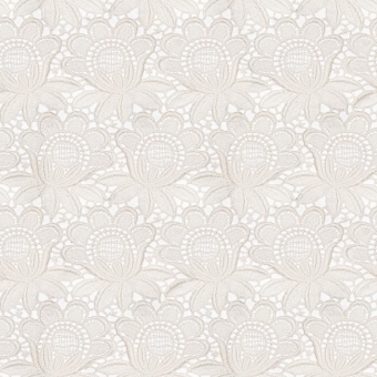 Dentelle florale Wallpaper