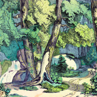 Panneau Fond de Forêt 414x300 cm - 6 lés Maison Images d'Epinal