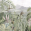 Papier peint panoramique Zako Les Dominotiers Vert et Rose DOM617