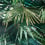 Papier peint Polynesie Jean Paul Gaultier Émeraude 3344-02