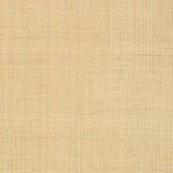 Paja Carolinoa Raffia