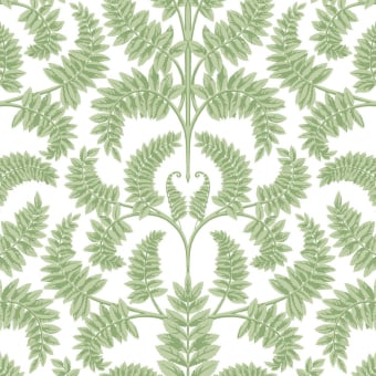 Papel pintado Royal Fern Damask