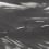 Papeles pintados panorámico Marine Xray Metallics Coordonné Onyx A00144