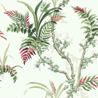 Wild Ferns Wallpaper