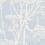 Cow Parsley Restyled Wallpaper Cole and Son Ciel 66/7050