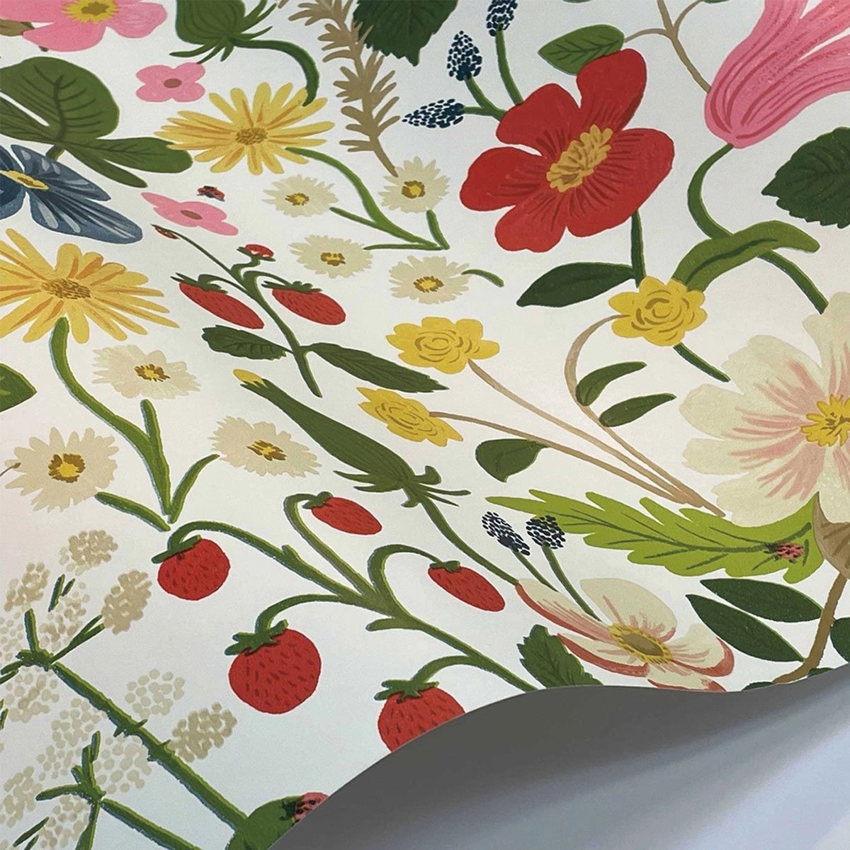 初売り - Wallpaper Fields Strawberry Rifle Co. Paper その他