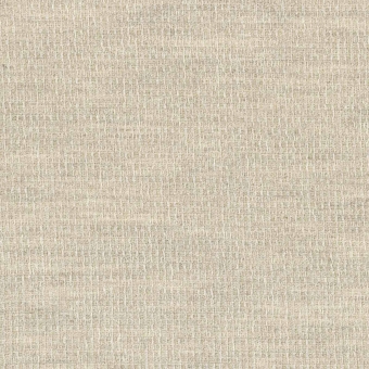 Schleier Pimpinella