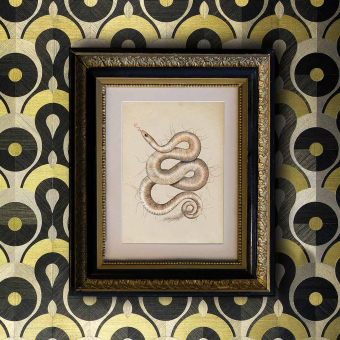 Wandverkleidung Queen Cobra