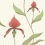 Orchid Restyled Wallpaper Cole and Son Rouge 95/10054