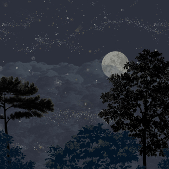 Paneel Eclipse Nocturne 150x330 cm - 3 lés - Partie A Isidore Leroy