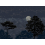 Papeles pintados Eclipse Nocturne Isidore Leroy 450x330 cm - 9 tiras - Piezas ABC A-B-C