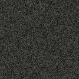 Goanna Wallpaper