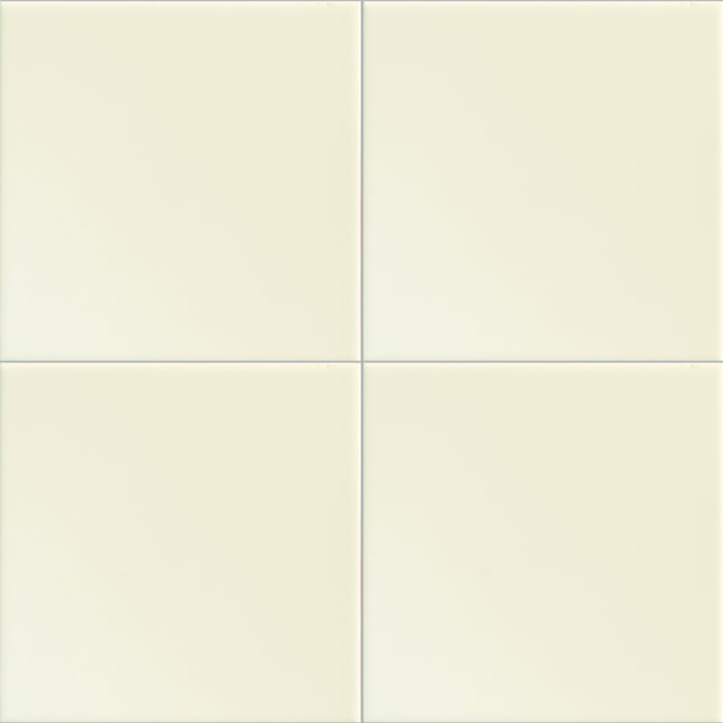 Baldosa Fondo Petracer's