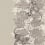 Acacia Wallpaper Cole and Son Gris/beige 109/11054