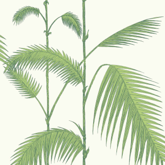 Palm Wallpaper Craie Cole and Son