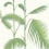 Palm Wallpaper Cole and Son Vert de feuille 95/1009