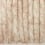Voile Cedre Nobilis Beige 10918.40