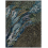 Alfombras Wild Vibrations Yo2 Blue WV3.01.2-FOLLY SOFT-200x300