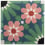 Piastrella in cemento Summer Flower Marrakech Design Arboretum summer-flower-sauvage