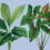 Leaf Garden Panel Walls by Patel Blue DD121948