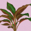 Papier peint panoramique Leaf Garden Walls by Patel Purple DD121956