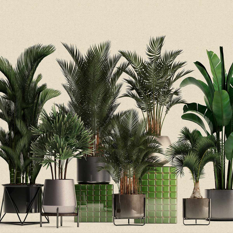 Stickers 3D plantes dans les pots designs 60 x 60 cm