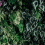 Papier peint panoramique Deep Green Walls by Patel Green DD122096