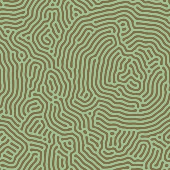 Papier peint panoramique Sahel