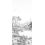 Carta da parati panoramica Rivière des Parfums grigio Gravure Isidore Leroy 150x330 cm - 3 lés - Partie B 6246160