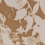 Chiaroscuro Wallpaper Rubelli Argento 23003/2