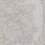 Papel pintado San Marco Rubelli Argento 23000/3