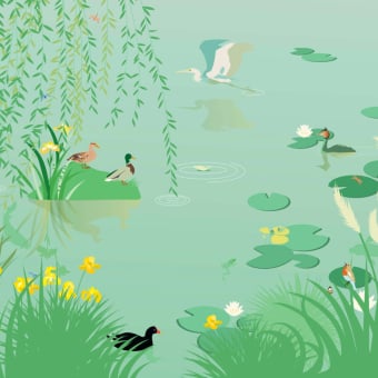 Papier peint panoramique Etang Céladon