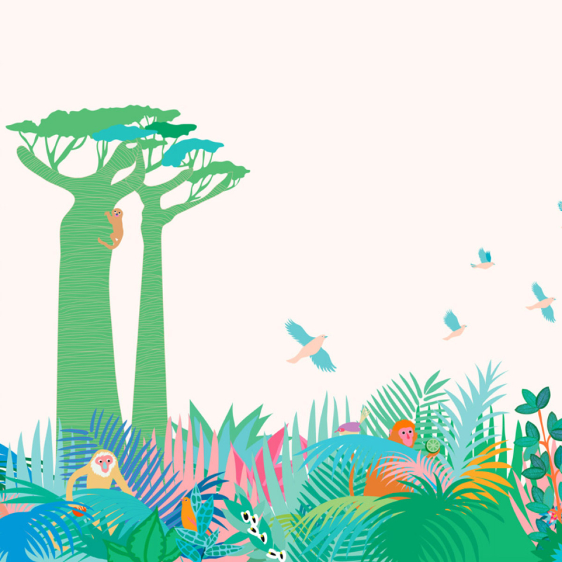 Manja Acidulé Panel Little Cabari