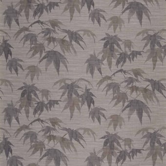 Acer Wall Covering