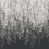 Papier peint panoramique Tyndall Zoffany Vine Black ZHIW313002