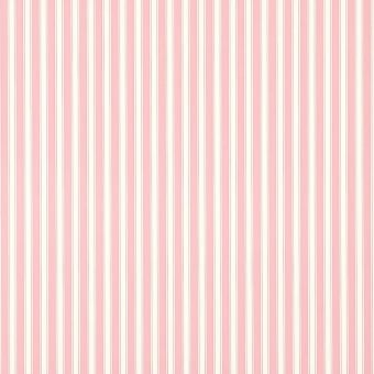 New Tiger Stripe Wallpaper