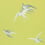 Swallows Wallpaper Sanderson Lime DVIWSW101