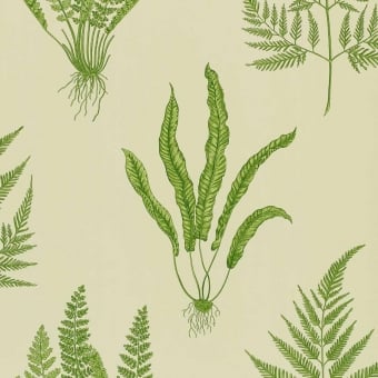 Carta da parati Woodland Ferns