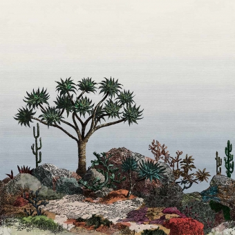 Carta da parati panoramica Yucca