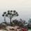 Papeles pintados panorámico Yucca Nobilis Multi PAN210