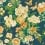 Emperor Peony Wallpaper Sanderson Midnight/Apricot DWAW217120