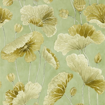 Papier peint Lotus Leaf Midnight/Copper Sanderson